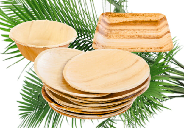 palm leaf plates